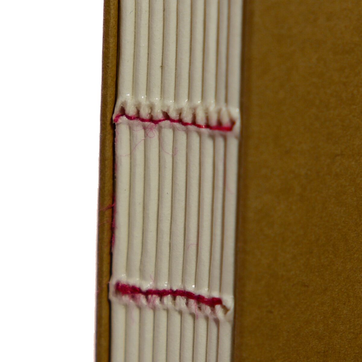 Produktfoto zum Notizbuch MiaSkribo Notebook DINA5.