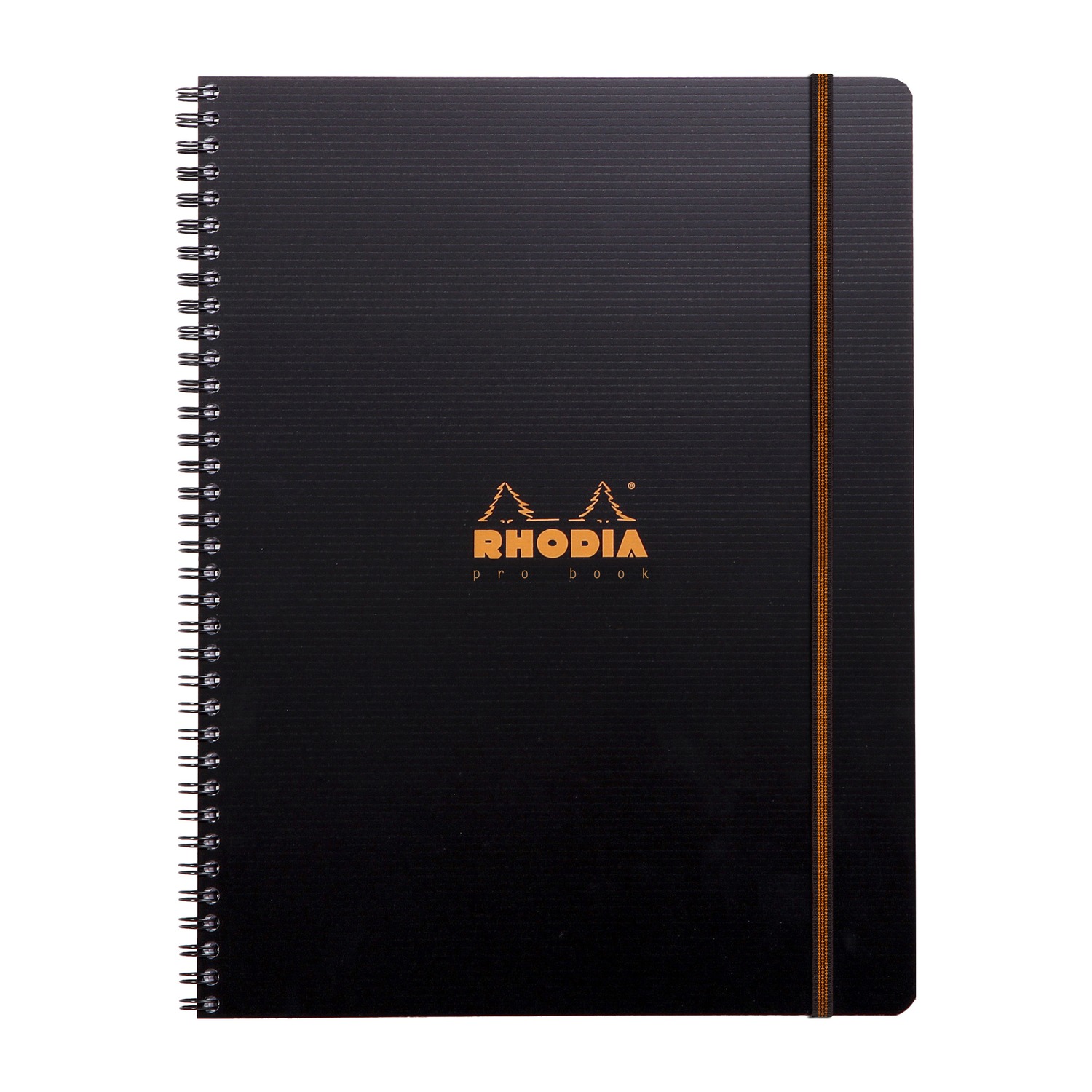 Produktfoto zum ctive ProBook mit Doppelspirale DINA4+ von Rhodia in der Produkt Lineatur liniert / Product photo for ctive ProBook with double spiral DINA4+ from rhodia in product ruling liniert (RH_119931C) Produktfoto zum ctive ProBook mit Doppelspirale DINA4+ von Rhodia in der Produkt Lineatur liniert / Product photo for ctive ProBook with double spiral DINA4+ from rhodia in product ruling liniert (RH_119931C)