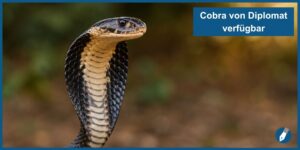 Die Tintenroller und Füllfederhalter Cobra von Diplomat sind nun verfügbar.